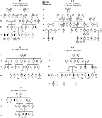 Involvement of ADGRV1 Gene in Familial Forms of Genetic Generalized Epilepsy